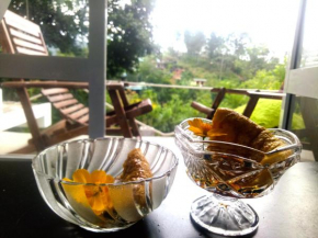 ELLA Delightful Surround Homestay